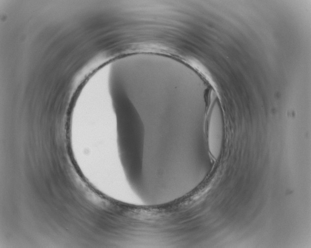 X0000087700995200706011740