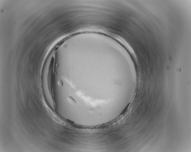 X0000087700996200706011740