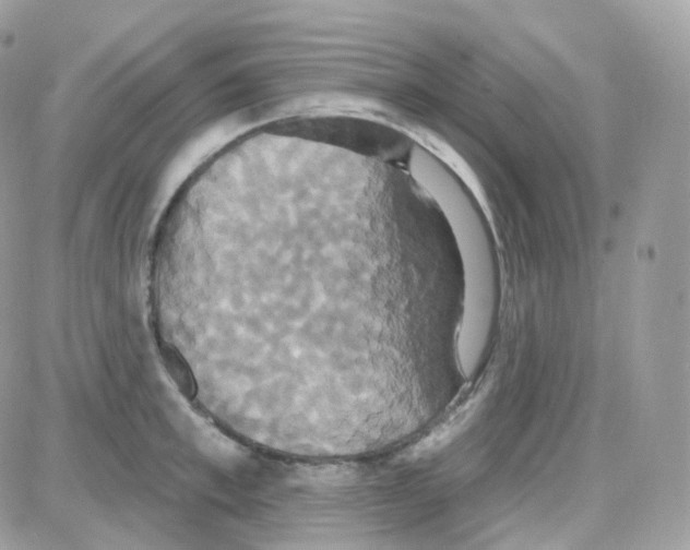 X0000087700997200706011740