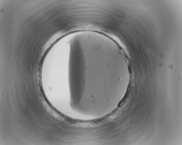 X0000087700998200706011740