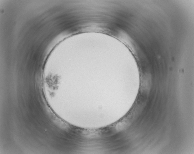 X0000087701000200706011740