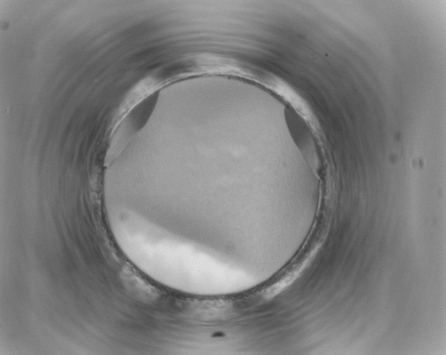 X0000087701001200706011740