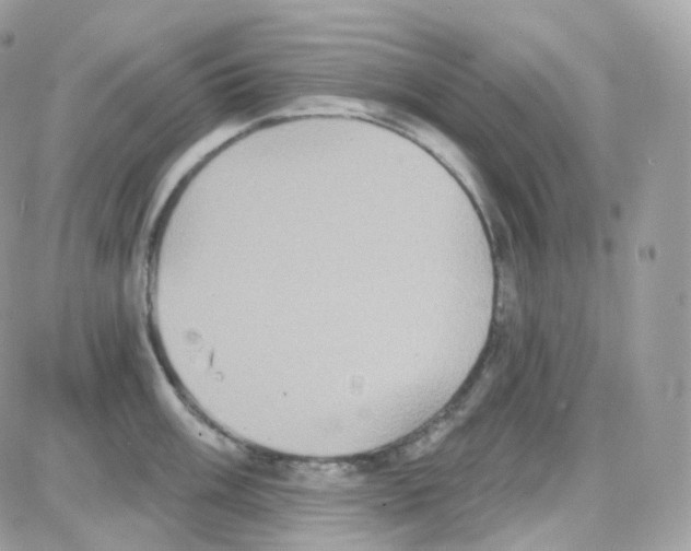 X0000087701003200706011740