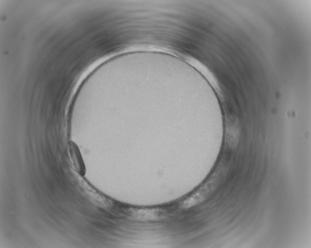 X0000087701004200706011740