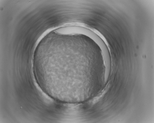 X0000087701005200706011740