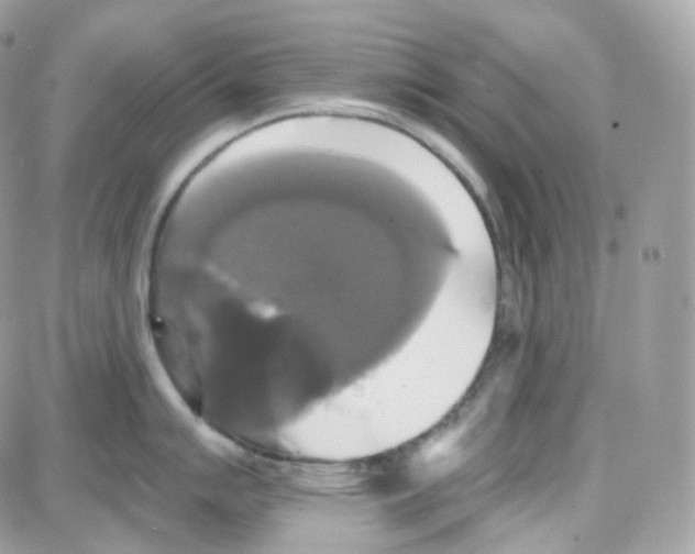 X0000087701007200706011740