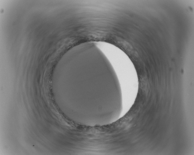 X0000087701009200706011739