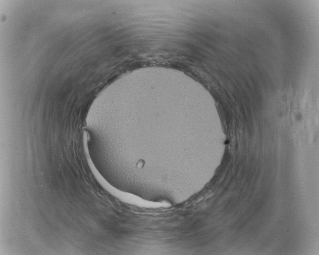 X0000087701010200706011739