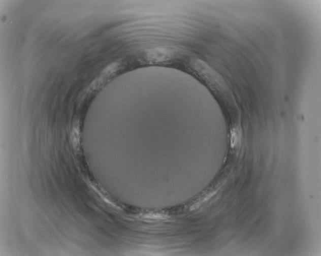 X0000087701011200706011739