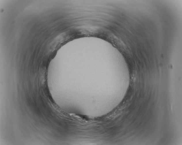 X0000087701012200706011739