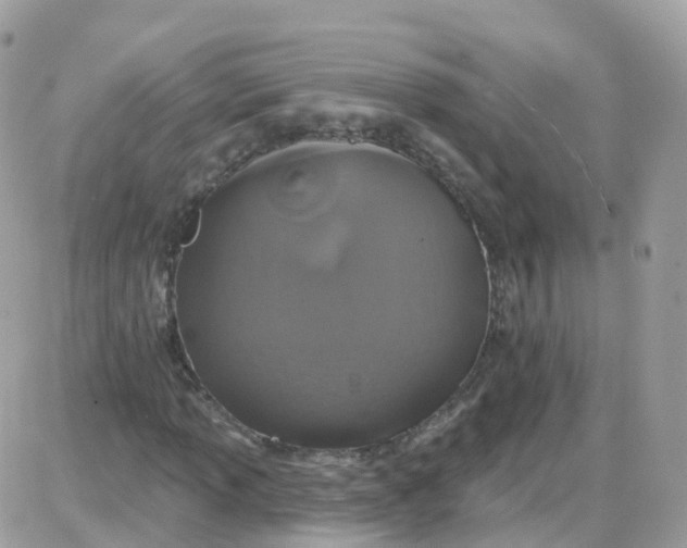 X0000087701013200706011739