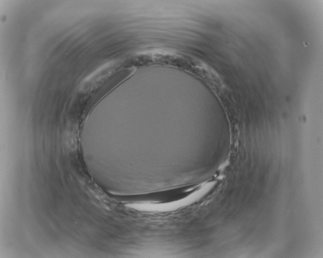 X0000087701014200706011739