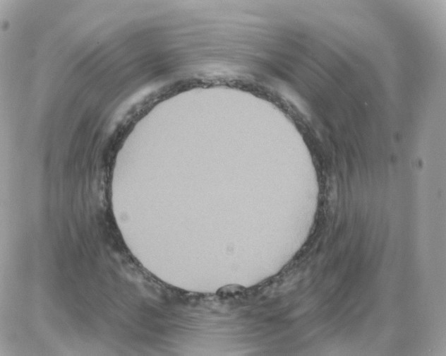 X0000087701016200706011739