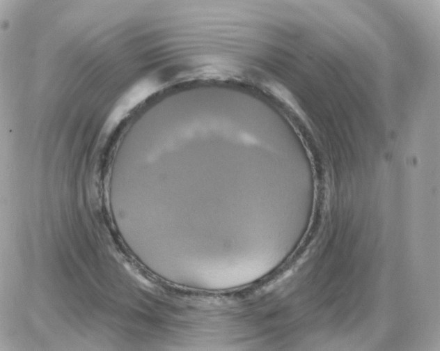 X0000087701018200706011739