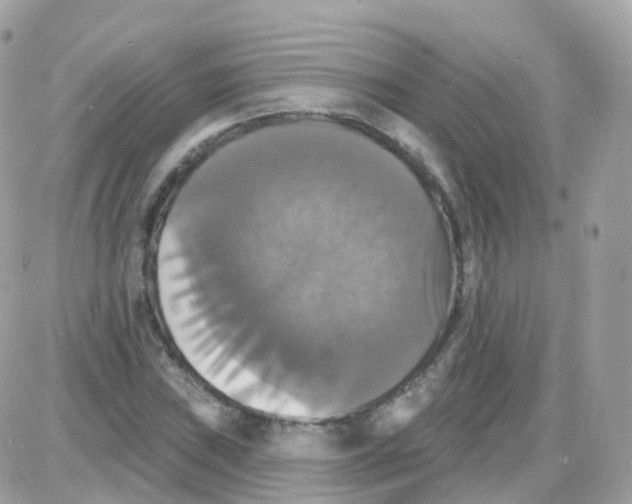 X0000087701019200706011739