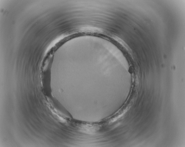 X0000087701022200706011739