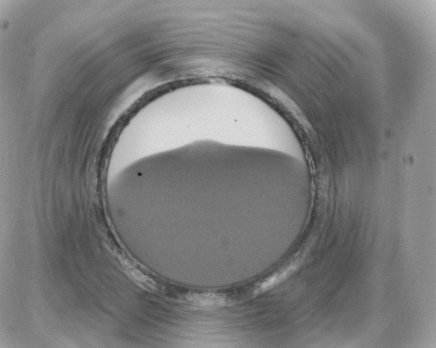 X0000087701023200706011739