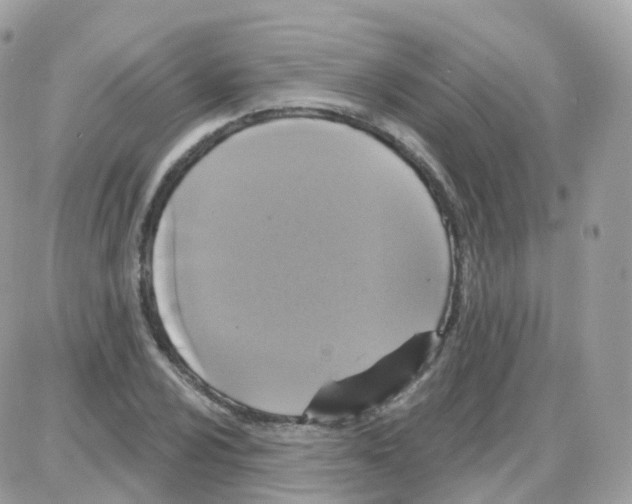 X0000087701024200706011739