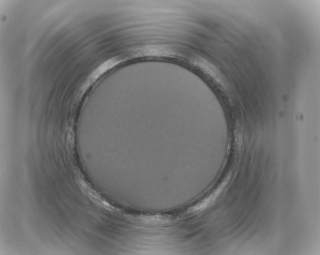 X0000087701025200706011739