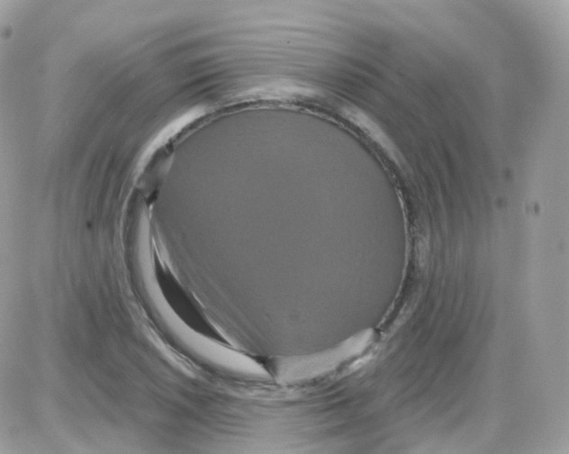 X0000087701026200706011739