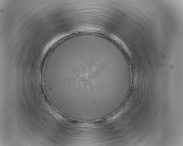 X0000087701027200706011739