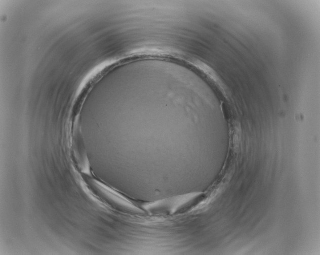 X0000087701030200706011739