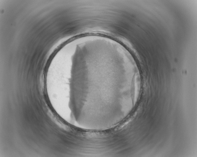 X0000087701032200706011739