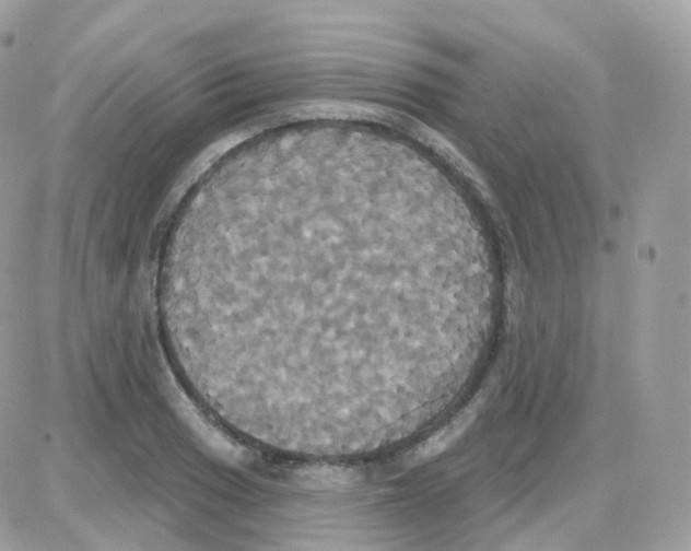 X0000087701033200706011739