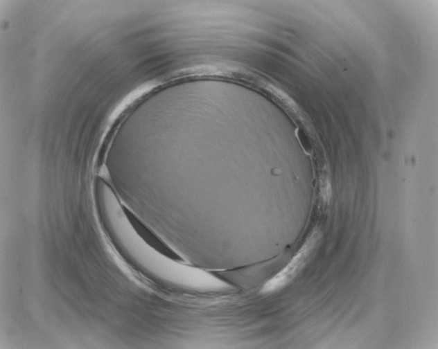 X0000087701034200706011739