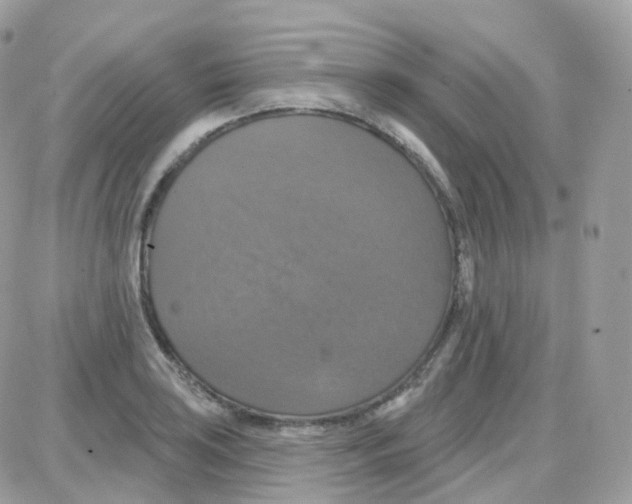 X0000087701035200706011739