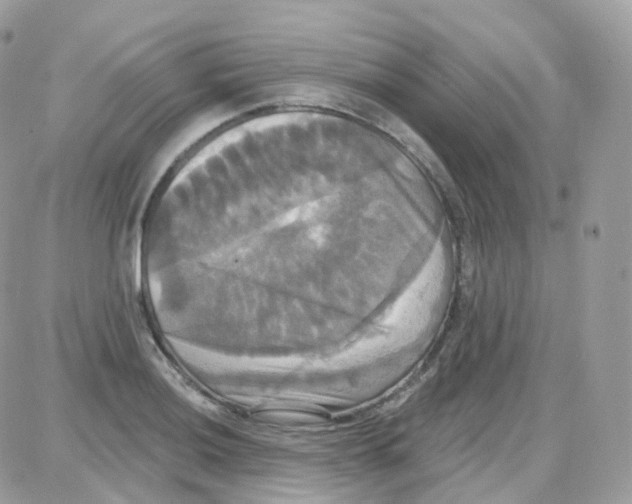 X0000087701036200706011740