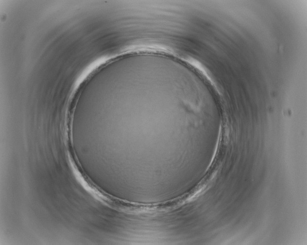 X0000087701038200706011740