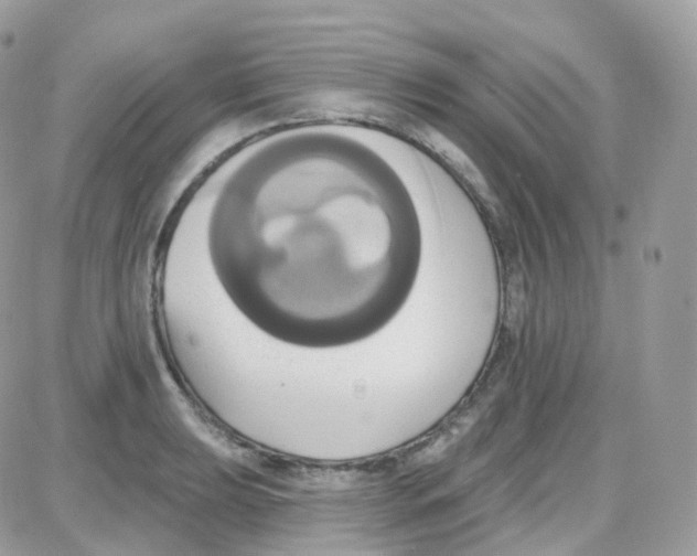 X0000087701039200706011740