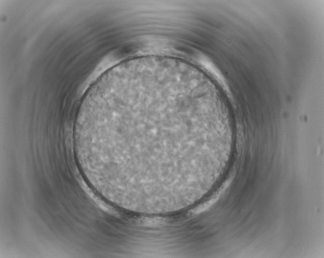 X0000087701041200706011740