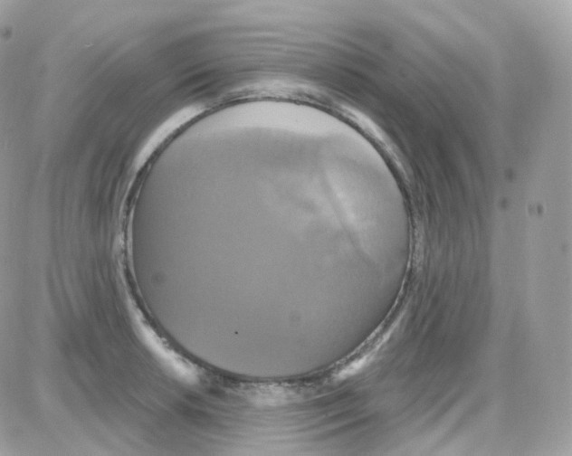 X0000087701042200706011740