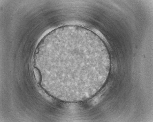 X0000087701044200706011740