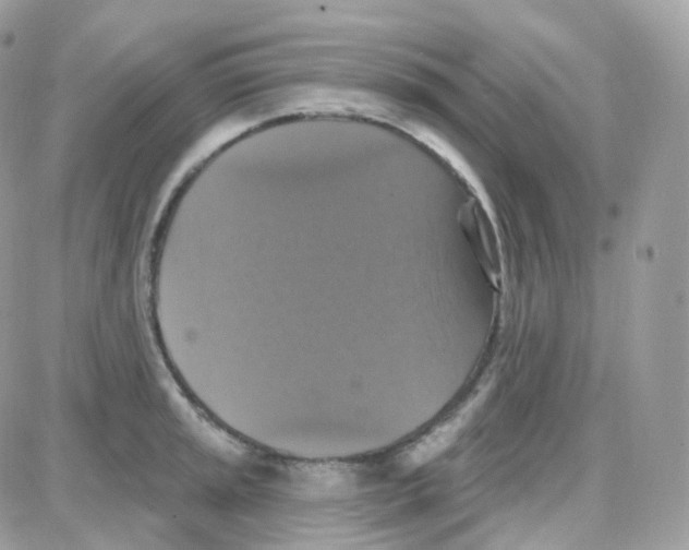 X0000087701045200706011740