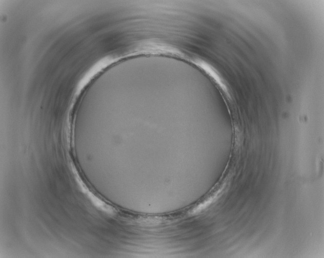 X0000087701046200706011740