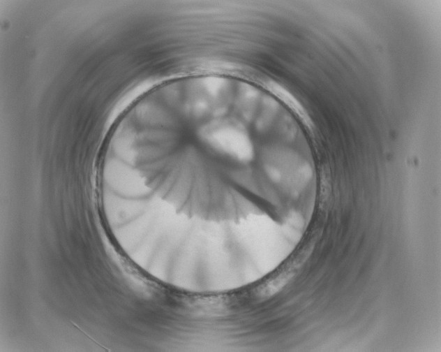 X0000087701047200706011740