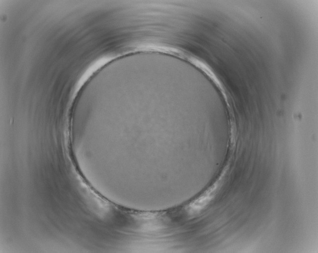 X0000087701048200706011740