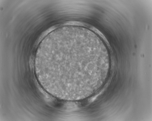 X0000087701049200706011740