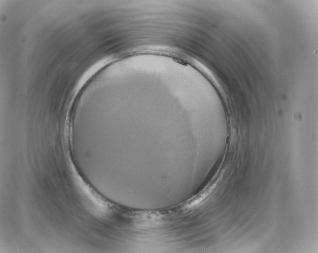 X0000087701050200706011740