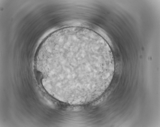 X0000087701051200706011740