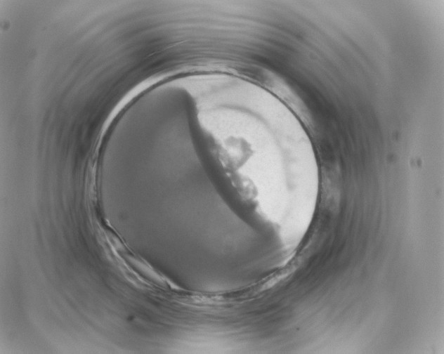 X0000087701052200706011740