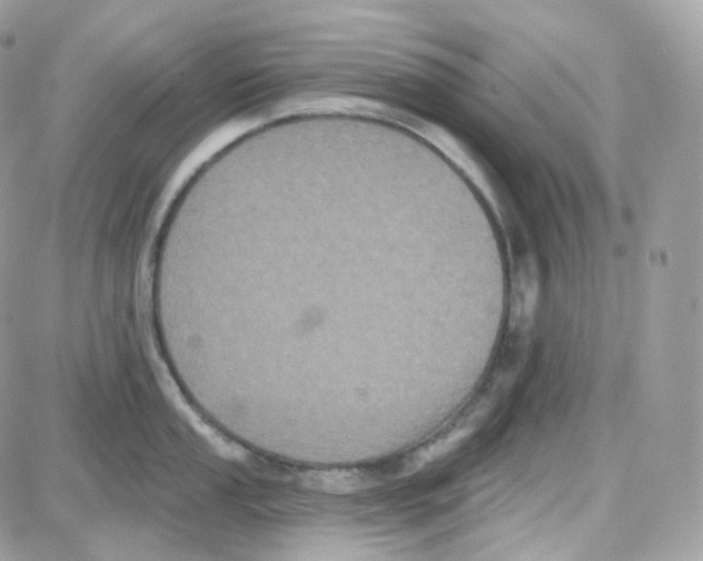 X0000087701053200706011740