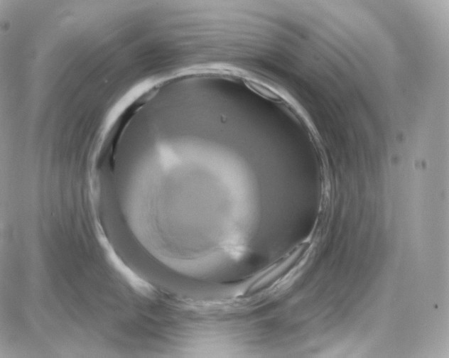 X0000087701054200706011740