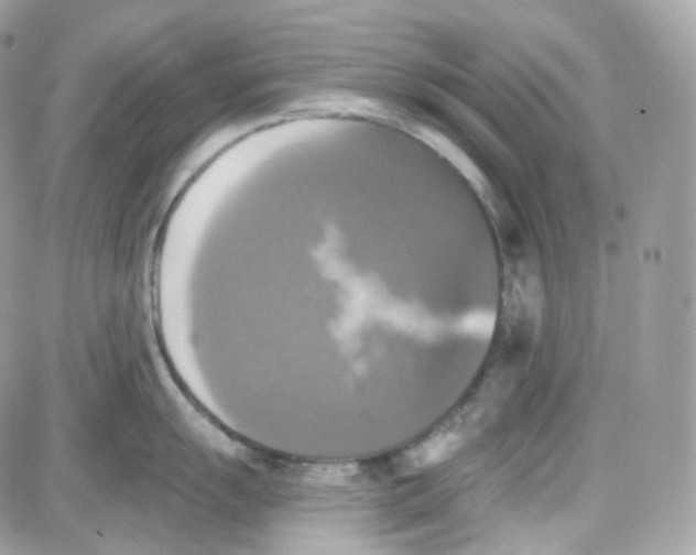 X0000087701055200706011740