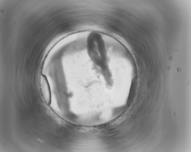 X0000087701056200706011740