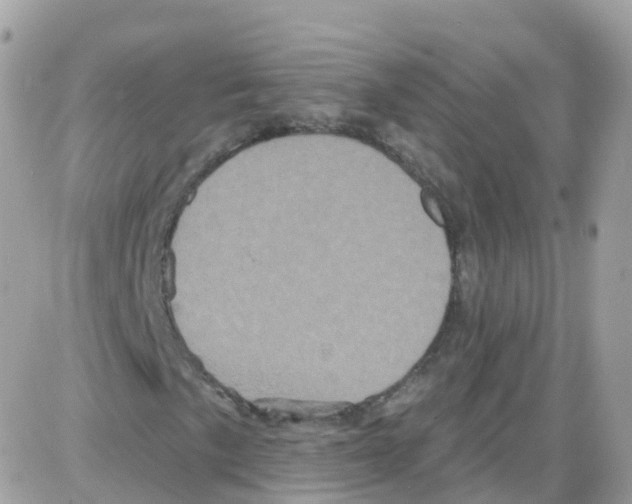 X0000087701057200706011739