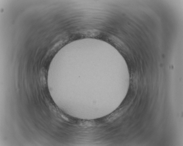 X0000087701058200706011739